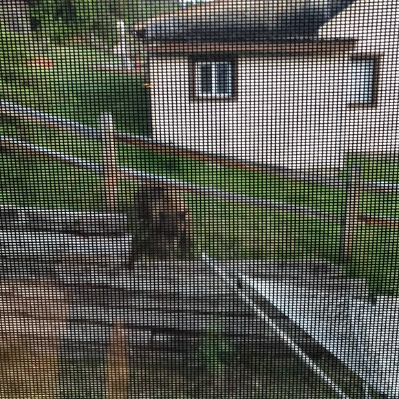 Meet your Posher, Angela - Picture 5 of 8